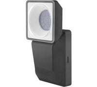 Éclairage pour la maison Ledvance Lampes e pro spot s 8w 840 ip55 dg ledv G