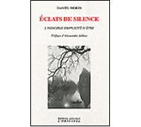 Éclats de silence L'indicible simplicité d'Etre - Daniel Morin - L'originel Accarias - broché - Essai