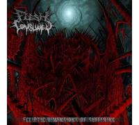 Ecliptic Dimensions of Suffering