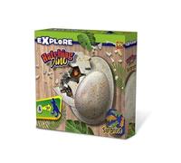 éclosion d'un ouf de dinosaure 20 x 20 cm Explorez