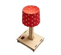 ECMQS Kit de fabrication de lampes scientifiques avec pièces de câblage | Activité de montage de table pour l'apprentissage en t les projets à domicile