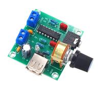 ECMQS PM2038 Carte d'amplificateur 5 W x 2 avec alimentation USB, large | Module amplificateur double canal avec alimentation USB pour plusieurs appareils auditifs et divertissement à domicile