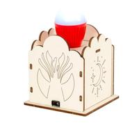 ECMQS Projet d'éclairage à induction en bois avec structure électronique | Activité de démonstration en classe, pièce d'affichage de bureau, assemblage guidé