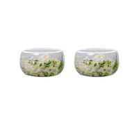 ECMQS Verre borosilicate double couche pour fleurs séchées résistant à la chaleur incassable pour fruits, desserts, soupe, bol de fleurs