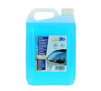 ECO Budget 020261 Lave Glace 5L Toutes Saisons (-15° et Démoustiqueur)