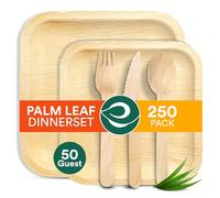 ECO SOUL Lot de 250 assiettes carrées 100 % compostables en feuille de palmier pour 50 invités (assiettes carrées de 25,4 cm, 15,2 cm, fourchette, couteau, cuillère, 50 pièces chacune) | Ustensiles