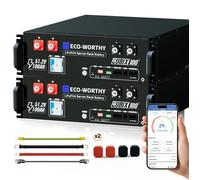 ECO-WORTHY 10,24KWh Batterie Lithium 2pcs 48V(51,2V) 100AH, Batterie Lifepo4 Bluetooth, pour système Solaire, Panneau Soalire