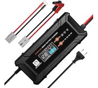 ECO-WORTHY 12V/24V 20A Chargeur de Batterie LiFePO4