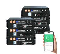 ECO-WORTHY 6PACK LiFePO4 48V 100Ah V3 Bluetooth avec BMS 100A, Batterie Lithium 30,72kWh 3U pour Rack de Serveur avec Prise en Charge Can&RS485 pour système Solaire Complet, système photovoltaïque