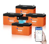 ECO-Worthy Batterie LiFePO₄ 12V 314Ah EnergyTrek*4 Bluetooth et Affichage | Batterie Lithium 12V avec BMS, Nombre Maximal de Cycles 15000, Lifepo4 de 4019Wh Chacune, Adaptée pour Camping-car