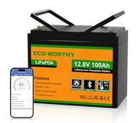 ECO-WORTHY Batterie Lithium 12V 100AH Bluetooth, Batterie LiFePO4 avec Protection à Basse Température, BMS Intelligent, 1280Wh Énergie, pour caravanes, Camping-Car, système Solaire,pêche à la Ligne