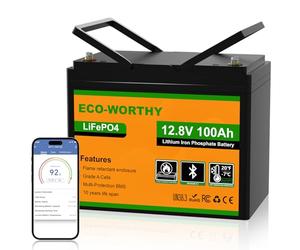 ECO-WORTHY Batterie Lithium 12V 100AH Bluetooth, Batterie LiFePO4 avec Protection à Basse Température, BMS Intelligent, 1280Wh Énergie, pour caravanes, Camping-Car, système Solaire,pêche à la Ligne