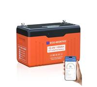 ECO-WORTHY Batterie Lithium 12V 100AH Bluetooth Batterie Lifepo4 avec Protection Basse température et 100A BMS,1280Wh Batterie pour Camping-Car, Panneau Solaire, Kit Solaire, Bateau, Moteur Trolling