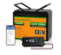 ECO-WORTHY Batterie Lithium 12V 100AH Bluetooth LiFePO4 12V avec Chargeur 12/24 V 20 A, Batterie Protection BMS Basse température pour Camping-Car, Bateau, Caravane
