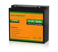 ECO-WORTHY Batterie Lithium 12V 20 AH LiFePO4 avec Protection BMS et Max. 15 000 Cycles, 256Wh Batterie pour Bateau, Camping-Car，pêche，RV