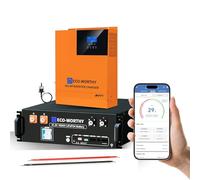 ECO-WORTHY Batterie Lithium 48 V 100 Ah Bluetooth 5,12 kWh avec onduleur Hybride 5000 W, boîtier 3U, lifepo4 pour Armoire de Serveur avec Prise en Charge Can&RS485 pour système Solaire Complet