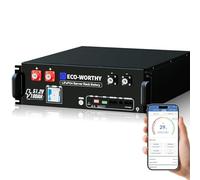 ECO-Worthy Batterie Lithium 48 V 100 Ah Bluetooth IEC 62619 avec BMS 100 A, lifepo4 48 V 5,12 kWh pour Armoire Serveur, Batterie Solaire pour système Solaire Complet, système photovoltaïque