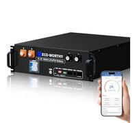 ECO-WORTHY Batterie Lithium 48 V 100 Ah V3 Bluetooth IEC 62619 avec BMS 100 A, lifepo4 48 V 5,12 kWh pour Armoire Serveur, Batterie Solaire pour système Solaire Complet, système photovoltaïque