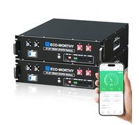 ECO-WORTHY Batterie Lithium 48V 100 Ah*2 LiFePO4 Bluetooth avec BMS 100 A, 10,24 kWh 3U, avec Prise en Charge Can&RS485, pour système Solaire, système photovoltaïque