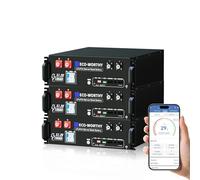 ECO-WORTHY Batterie Lithium 48V 100Ah*3 Bluetooth avec BMS 100A, LiFePO4 15,36kWh 3U pour Rack de Serveur avec Prise en Charge Can&RS485 pour système Solaire Complet, système photovoltaïque