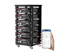 ECO-Worthy Batterie Lithium 48V 100Ah*6 Bluetooth avec BMS 100A, LiFePO4 30,72kWh 3U pour Rack de Serveur avec Prise en Charge Can&RS485 pour système Solaire Complet, système photovoltaïque