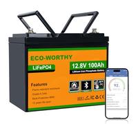 ECO-WORTHY Bluetooth Batterie Lithium 12V 100AH Basse Température