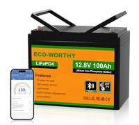 ECO-WORTHY Bluetooth Batterie Lithium 12V 100AH, Batterie LiFePO4 avec Protection à Basse Température, BMS Intelligent, 1280Wh Énergie, pour caravanes, camping-car, système solaire,pêche à la ligne