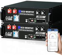 ECO-WORTHY Cubix100 Batterie Lithium 48V 100 Ah*2 LiFePO4 Bluetooth avec BMS 100 A, 10,24 kWh 3U, avec Prise en Charge Can&RS485, pour système Solaire, système photovoltaïque