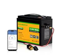 ECO-WORTHY LiFePO4 Batterie 12 V 50 Ah Bluetooth BMS Protection basse température et 4000-15000 cycles 640 Wh Batterie au lithium pour moteur de trolling, bateau