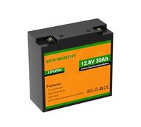 ECO-WORTHY LiFePO4 Batterie au lithium 12 V 30 Ah avec protection BMS et max. 15 000 cycles, 384 Wh Batterie de camping 12 V 30 Ah pour camping-car, moteur de trolling, bateau