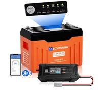ECO-WORTHY LiFePO4 Chargeur Bluetooth 12 V 300 Ah 12/24 V 20 A pour caravane