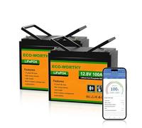 ECO-WORTHY LiFePO4 Lot de 2 batteries au lithium 12 V 100 Ah Bluetooth avec protection BMS basse température 100 A et max. 15 000 cycles, batterie au lithium 1280 Wh 12 V 100 Ah pour camping-car