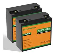 ECO-WORTHY LiFePO4 Lot de 2 batteries au lithium 12 V 30 Ah avec protection BMS 25 A et max. 15 000 cycles, batterie au lithium 384 Wh 12 V 30 Ah pour moteur de trolling, fauteuils roulants, scooters