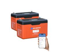 ECO-WORTHY LiFePO4 Lot de 2 batteries au lithium 300 Ah 12 V Bluetooth avec écran 7,68 kWh 12 V 300 Ah avec protection BMS basse température pour système solaire