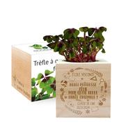 EcoCube à graver - Remerciement fin d'année scolaire - 100% Eco Friendly - Trèfle à 4 feuilles