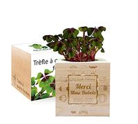 Ecocube gravé Merci Maîtresse (Trèfle à 4 feuilles)