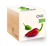 ecocube - plantes dans des cubes en bois - Chili