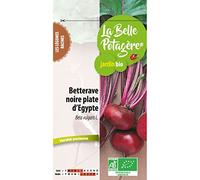 Ecodis - Betterave noire plate d'Egypte 2,5 g
