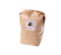 Recharge pour oreiller sarrasin bio 2,1