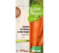 Ecodis - Carotte de Colmar à coeur rouge 1,5 g