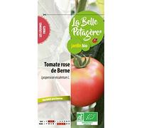 Ecodis - Tomate rose de Berne 0,15 g