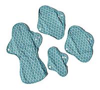 Ecofit Compresses Ecofit Paquet de test 100 g