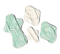 Ecofit Compresses Ecofit Paquet de test 100 g