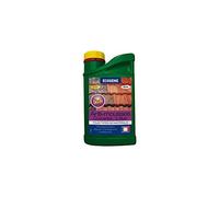 ECOGENE Antimousse Concentré