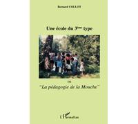 École du troisième type (Une) – Ou la pédagogie de la Mouche – L'Harmattan