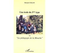 École du troisième type (Une) – Ou la pédagogie de la Mouche – L'Harmattan
