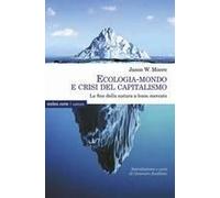 Ecologia-Mondo E Crisi Del Capitalismo. La Fine Della Natura A Buon Mercato