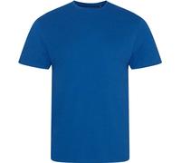 Ecologie Hommes T-Shirt Cascades PC3190 (L) (Bleu roi)