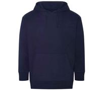 Ecologie - Sweat à capuche CRATER - Adulte (PC5408)