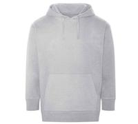 Ecologie - Sweat à capuche CRATER - Adulte (PC5408)